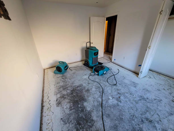 Best Flooded house restoration  in Belle, WV