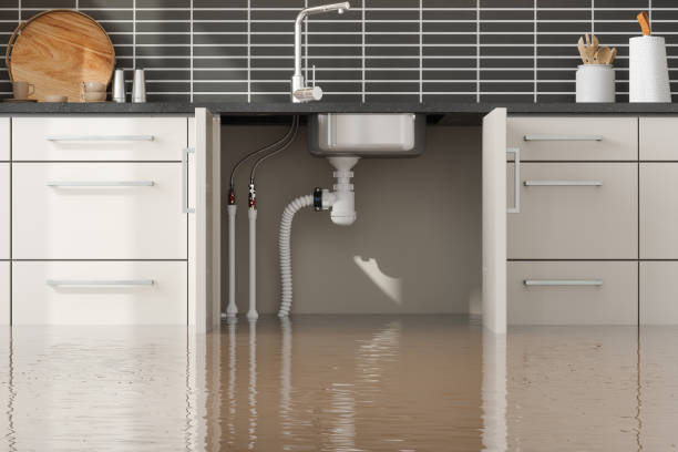 Best Residential water damage restoration  in Belle, WV